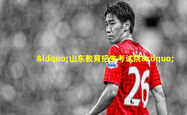 “山东教育招生考试院”