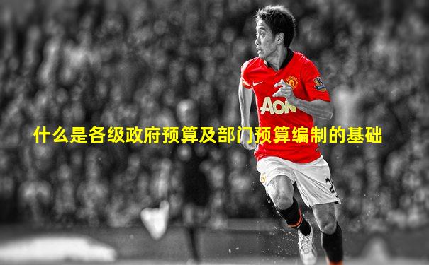 什么是各级政府预算及部门预算编制的基础