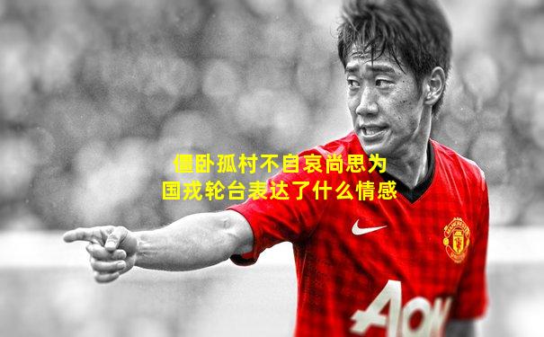 僵卧孤村不自哀尚思为国戎轮台表达了什么情感