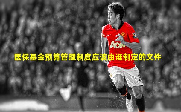 医保基金预算管理制度应该由谁制定的文件