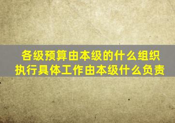 各级预算由本级的什么组织执行具体工作由本级什么负责