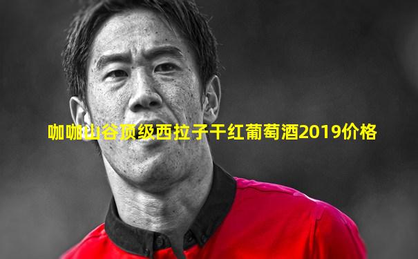 咖咖山谷顶级西拉子干红葡萄酒2019价格