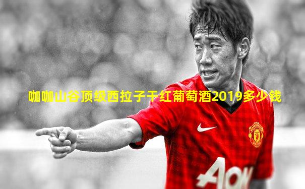 咖咖山谷顶级西拉子干红葡萄酒2019多少钱