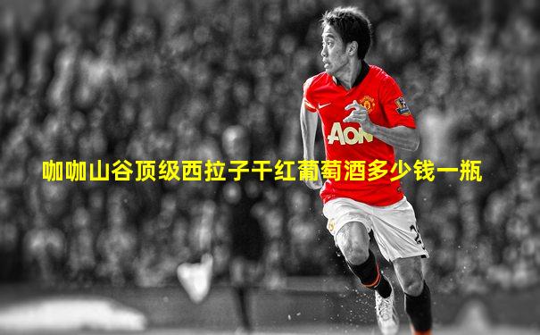 咖咖山谷顶级西拉子干红葡萄酒多少钱一瓶