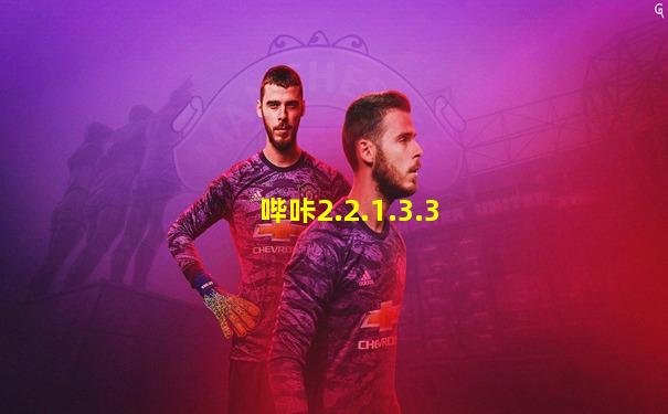 哔咔2.2.1.3.3