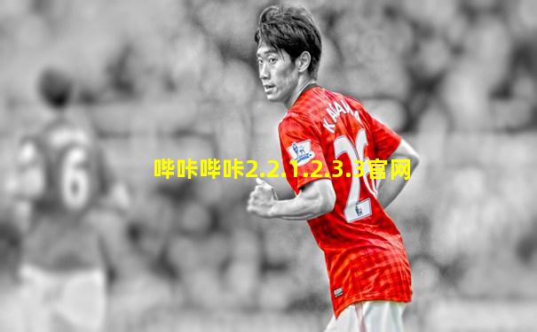 哔咔哔咔2.2.1.2.3.3官网