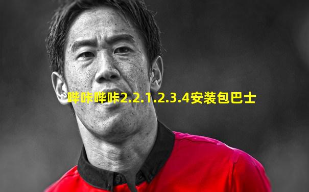 哔咔哔咔2.2.1.2.3.4安装包巴士
