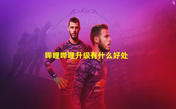 哔哩哔哩升级有什么好处