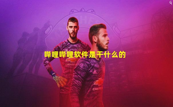 哔哩哔哩软件是干什么的