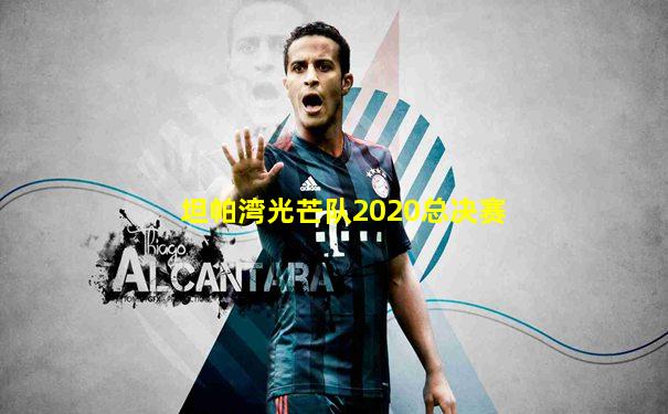 坦帕湾光芒队2020总决赛
