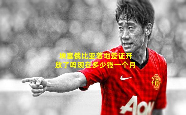 埃塞俄比亚落地签证开放了吗现在多少钱一个月