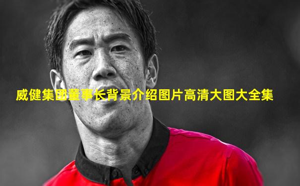 威健集团董事长背景介绍图片高清大图大全集