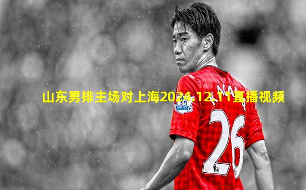 山东男排主场对上海2024.12.11直播视频