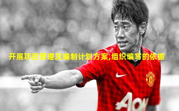 开展项目管理及编制计划方案,组织编写的依据