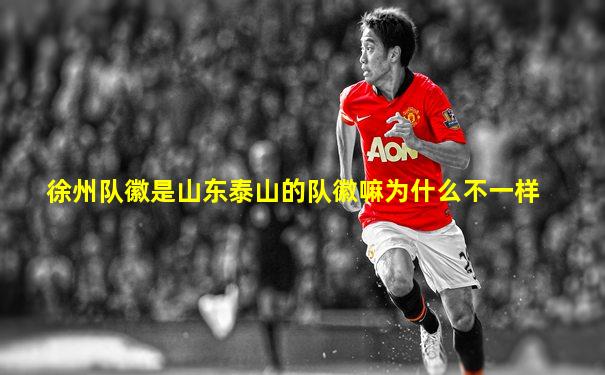 徐州队徽是山东泰山的队徽嘛为什么不一样