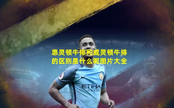 惠灵顿牛排和威灵顿牛排的区别是什么呢图片大全