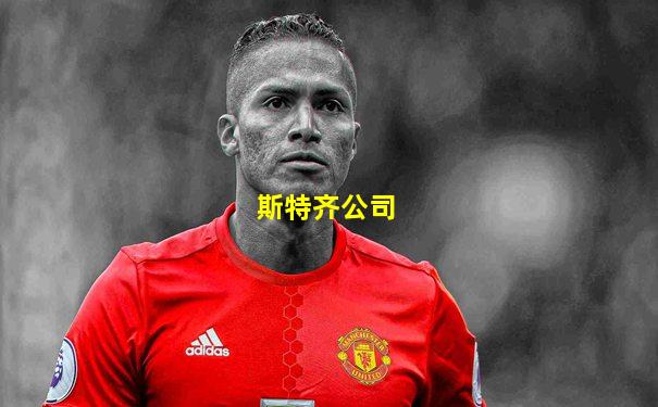 斯特齐公司