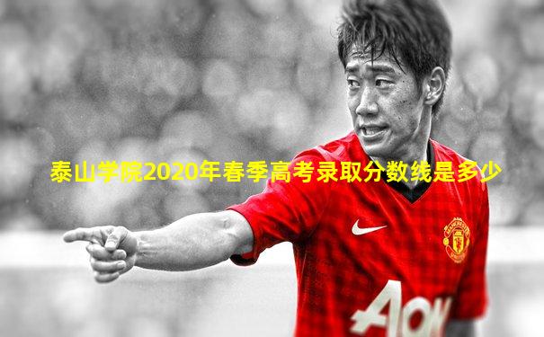 泰山学院2020年春季高考录取分数线是多少