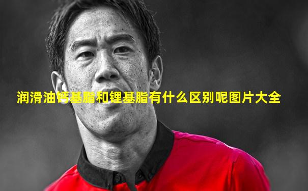 润滑油钙基脂和锂基脂有什么区别呢图片大全