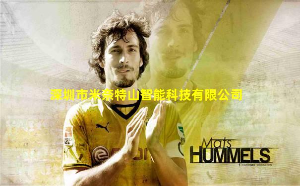 深圳市米奈特山智能科技有限公司