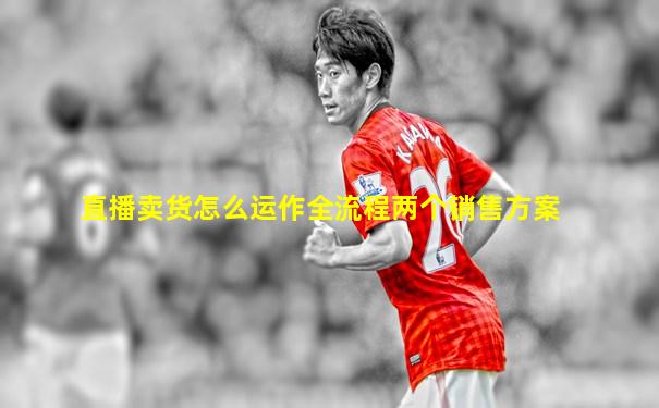 直播卖货怎么运作全流程两个销售方案