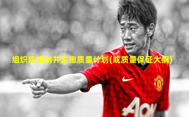 组织应编制并实施质量计划(或质量保证大纲)