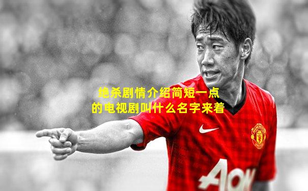 绝杀剧情介绍简短一点的电视剧叫什么名字来着