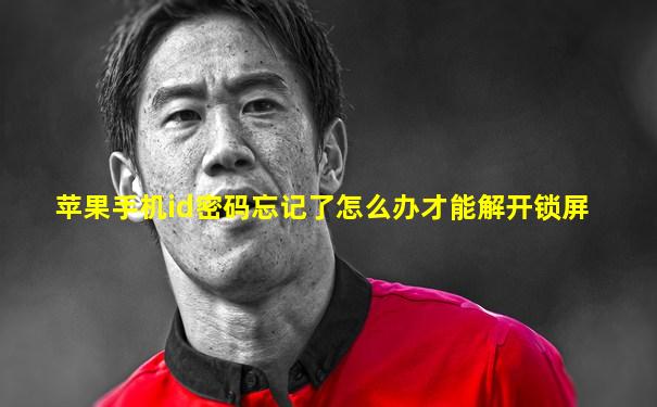 苹果手机id密码忘记了怎么办才能解开锁屏