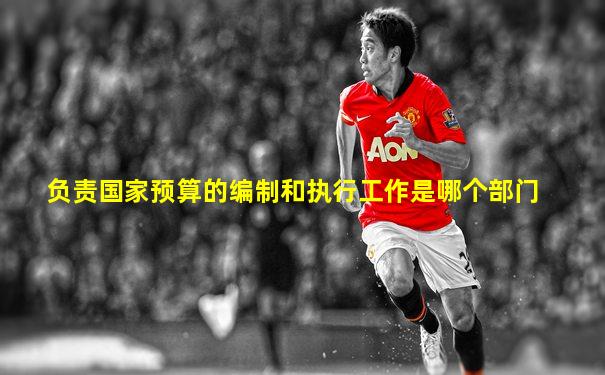 负责国家预算的编制和执行工作是哪个部门