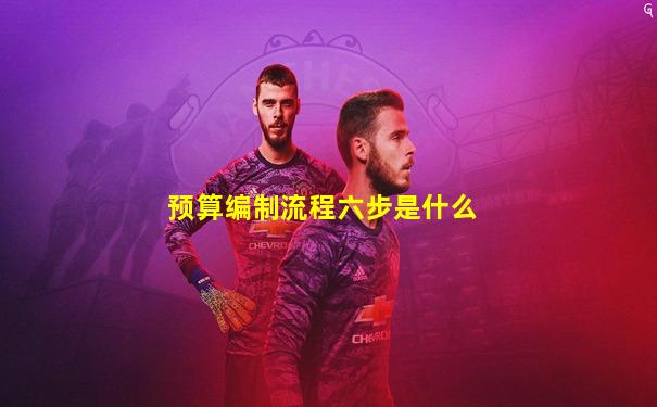 预算编制流程六步是什么