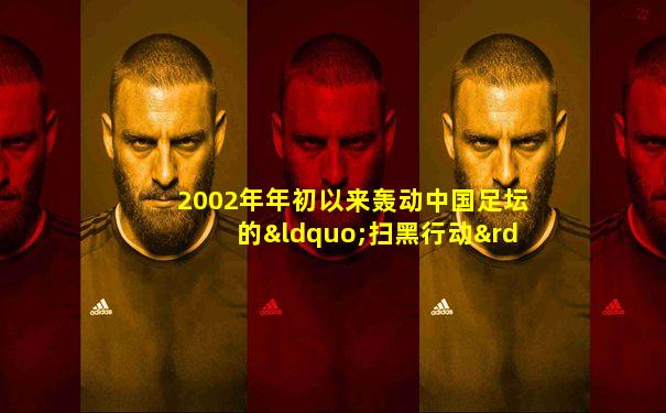 2002年年初以来轰动中国足坛的“扫黑行动”