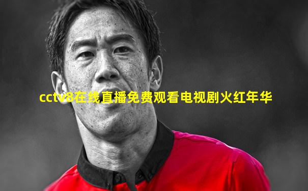 cctv8在线直播免费观看电视剧火红年华
