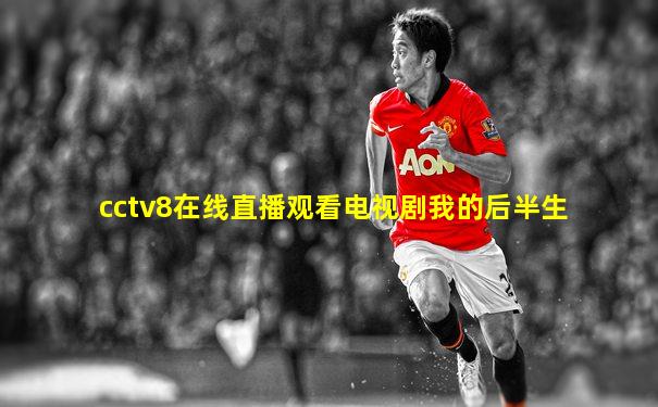 cctv8在线直播观看电视剧我的后半生