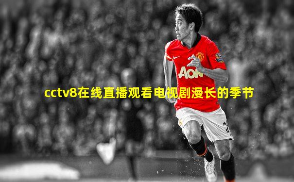 cctv8在线直播观看电视剧漫长的季节