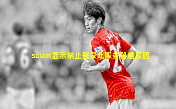 scum显示禁止登录此服务器啥原因