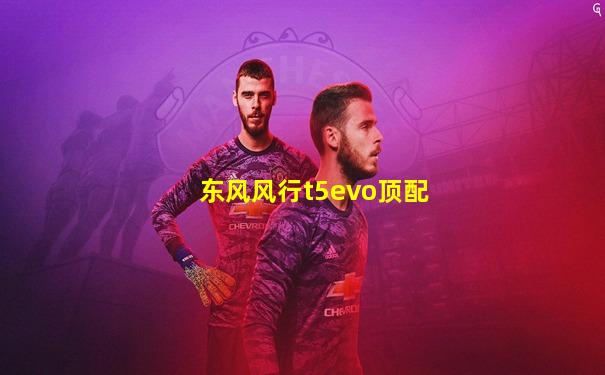 东风风行t5evo顶配