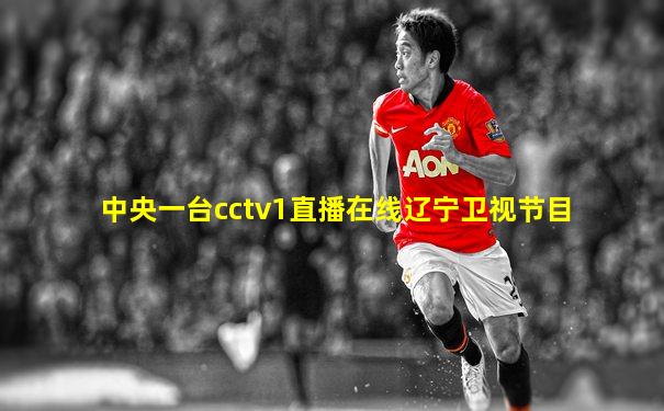 中央一台cctv1直播在线辽宁卫视节目