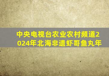中央电视台农业农村频道2024年北海非遗虾哥鱼丸年