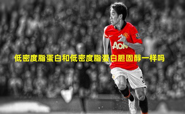 低密度脂蛋白和低密度脂蛋白胆固醇一样吗