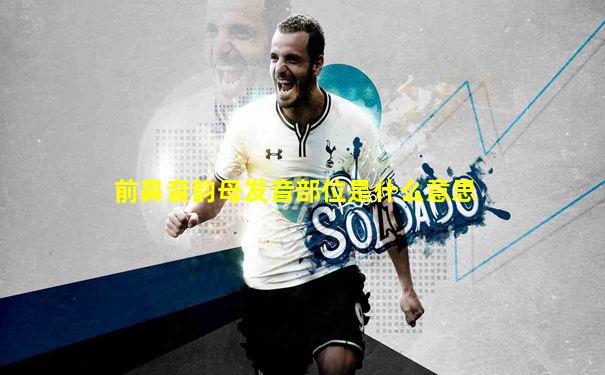 前鼻音韵母发音部位是什么意思