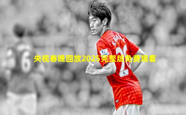 央视春晚回放2025完整版免费观看
