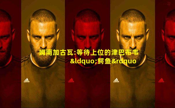 姆南加古瓦:等待上位的津巴布韦“鳄鱼”