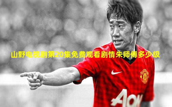 山野电视剧第20集免费观看剧情朱师傅多少级