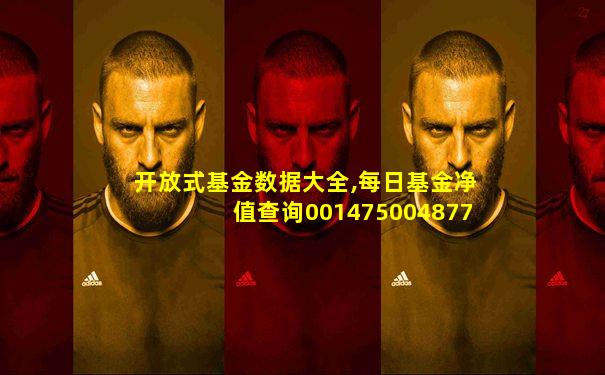 开放式基金数据大全,每日基金净值查询001475004877