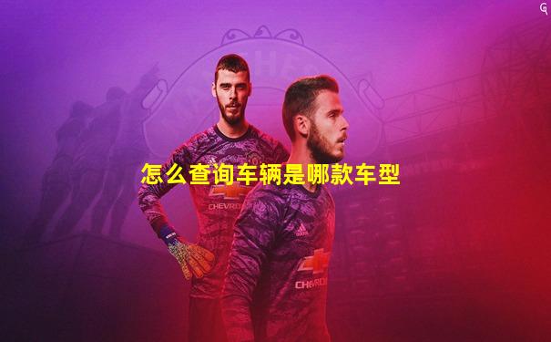 怎么查询车辆是哪款车型