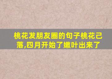 桃花发朋友圈的句子桃花己落,四月开始了嫩叶出来了