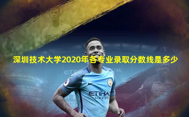 深圳技术大学2020年各专业录取分数线是多少