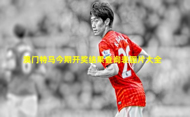 澳门特马今期开奖结果查询表图片大全