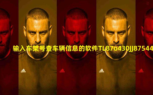 输入车架号查车辆信息的软件TL87o430JJ8754442
