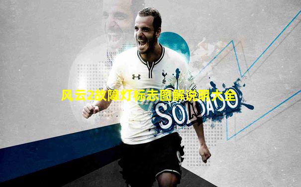 风云2故障灯标志图解说明大全